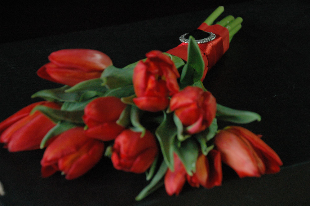 tulipan es bross04